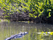 Everglades National Park
