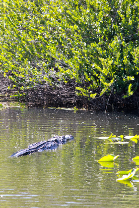 Everglades National Park