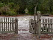 Okefenokee National Wildlife Refuge