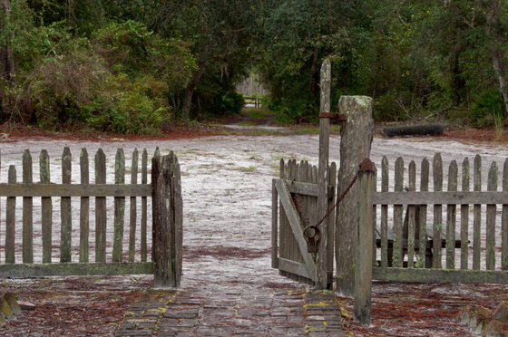 Okefenokee National Wildlife Refuge