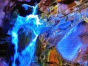 White River National Forest