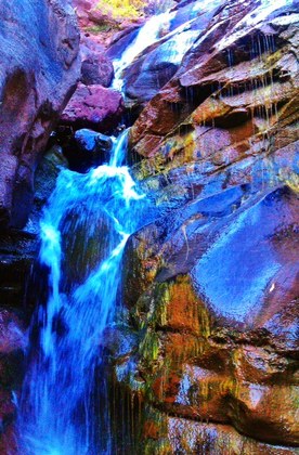 Share the Experience 2025 - Entry Info - White River National Forest