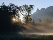 Yosemite National Park