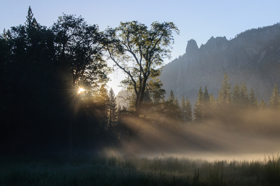 Yosemite National Park