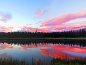 Willamette National Forest
