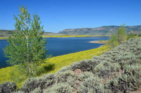 Curecanti National Recreation Area