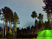 Kaibab National Forest 