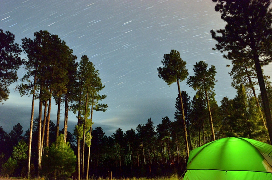 Kaibab National Forest 