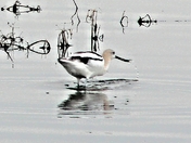 what are they thinking?