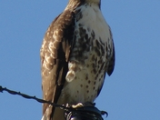 what are they thinking?