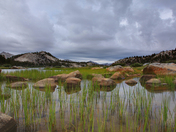 Inyo National Forrest 