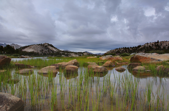 Inyo National Forrest 