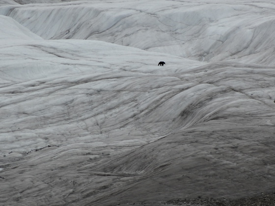 Wrangell St. Elias National Park