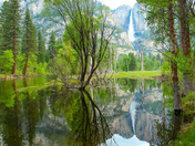 Yosemite National Park