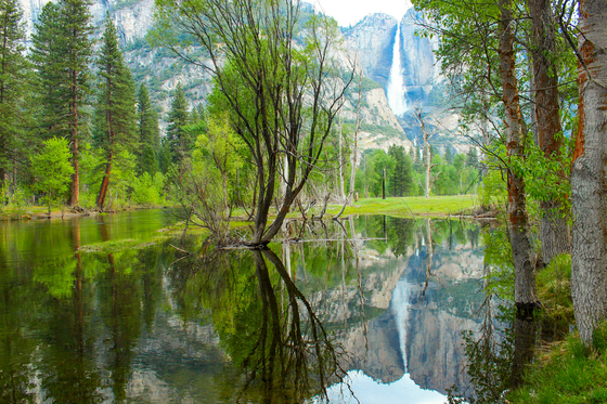 Yosemite National Park