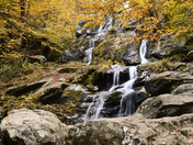 Shenandoah National Park