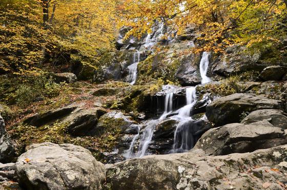 Shenandoah National Park