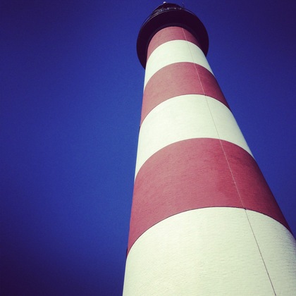 Assateague Island Wildlife Refuge
