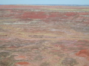 Petrified Forest National Park