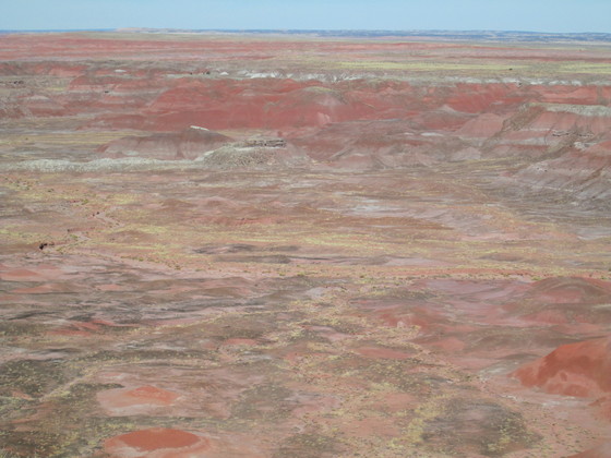 Petrified Forest National Park