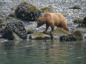 Glacier Bay National Park