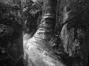 Hawaii Volcanoes National Park