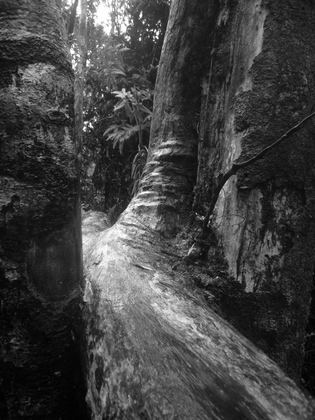 Hawaii Volcanoes National Park