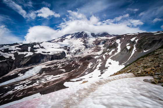Mt Rainier National Park 