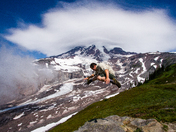 Mt Rainier National Park