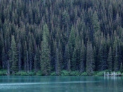 Glacier National Park