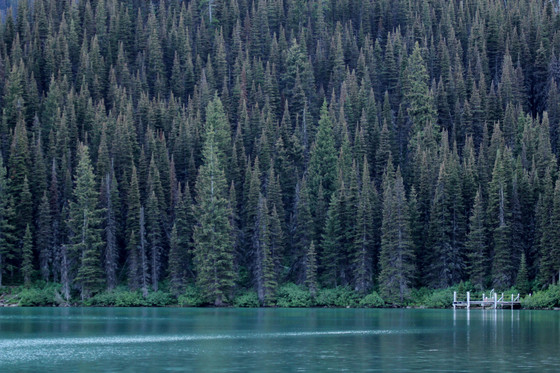 Glacier National Park