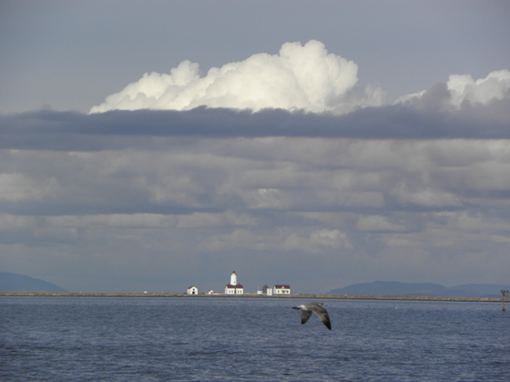Dungeness NWR