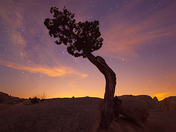 Joshua Tree National Park