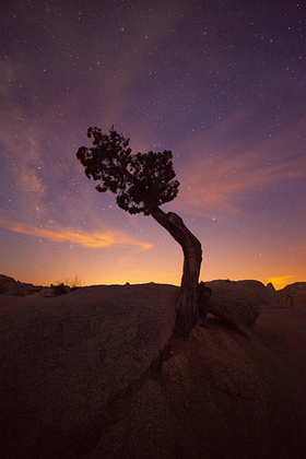 Joshua Tree National Park