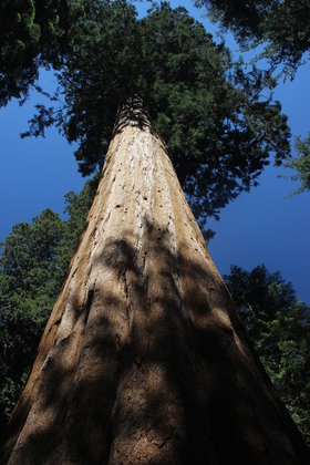 Kings Canyon National Park