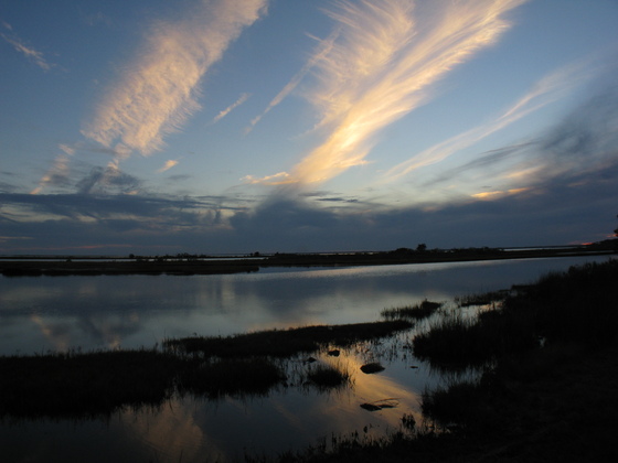 Assateague National Seashore
