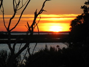 Assateague National Seashore