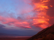 Inyo National Forest