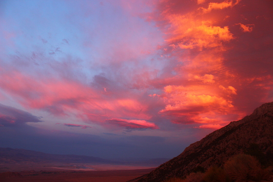 Inyo National Forest
