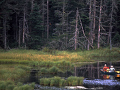 Green Mountain National Forest