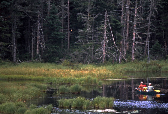 Green Mountain National Forest