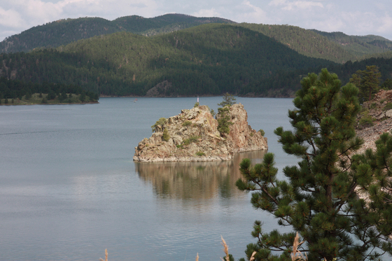Black Hills National Forest