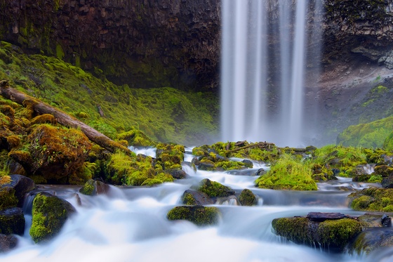 Mount Hood National Forest