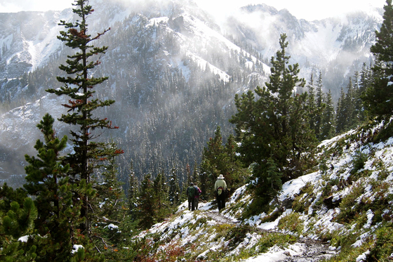 Duckhorn Wilderness, Olympic National Forest