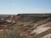 Petrified Forest National Park