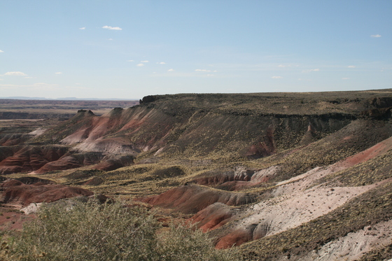 Petrified Forest National Park