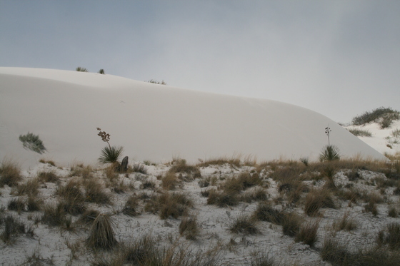 White Sands National Monument