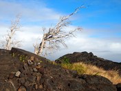 Hawaii Volcanoes National Park
