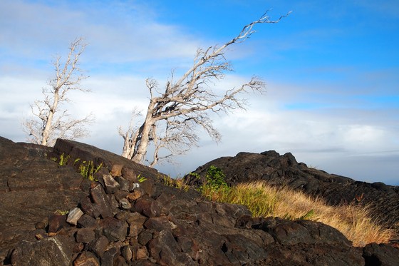 Hawaii Volcanoes National Park