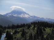 Mt. Rainier National Park